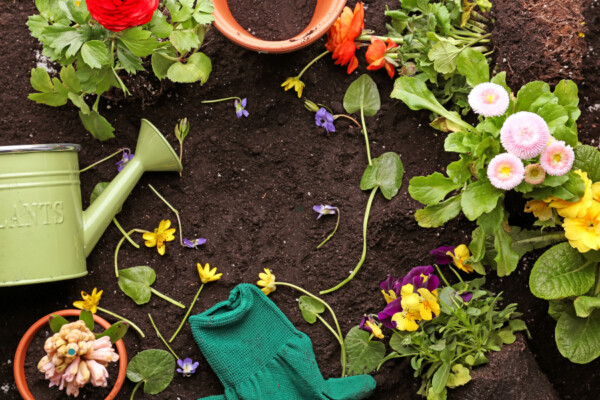 Garten
